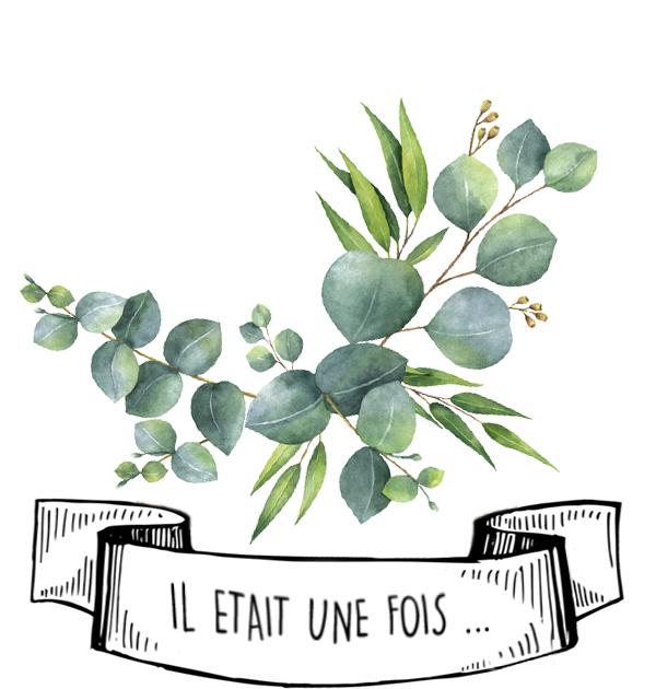 Huile Essentielle d’Eucalyptus Radié: le Guide Complet par Olyaris